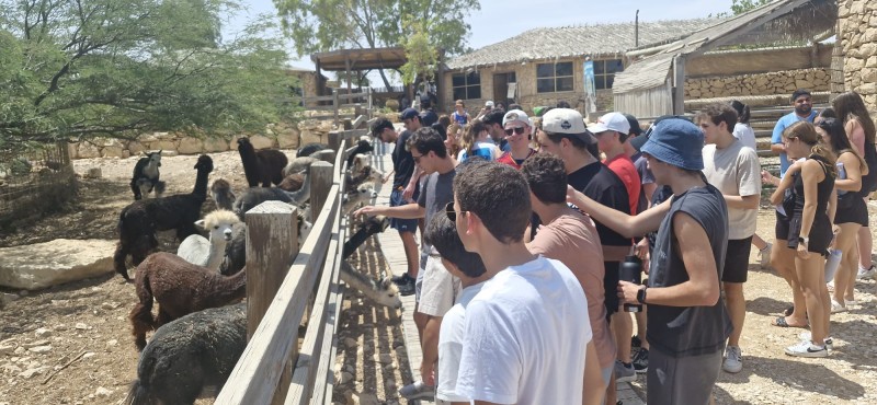 בכיף הכשרה פינת ליטוף קיבוץ